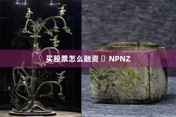 买股票怎么融资 ​NPNZ