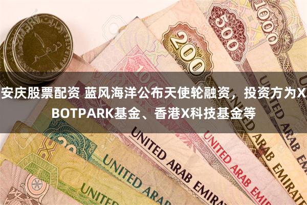 安庆股票配资 蓝风海洋公布天使轮融资，投资方为XBOTPARK基金、香港X科技基金等