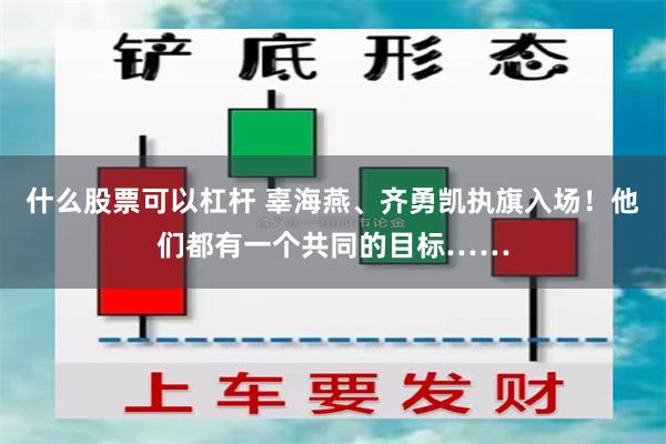 什么股票可以杠杆 辜海燕、齐勇凯执旗入场！他们都有一个共同的目标……