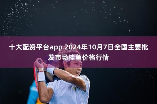 十大配资平台app 2024年10月7日全国主要批发市场桂鱼价格行情