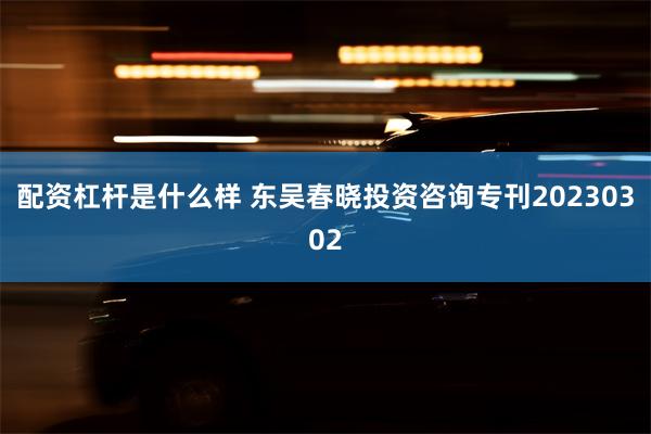 配资杠杆是什么样 东吴春晓投资咨询专刊20230302