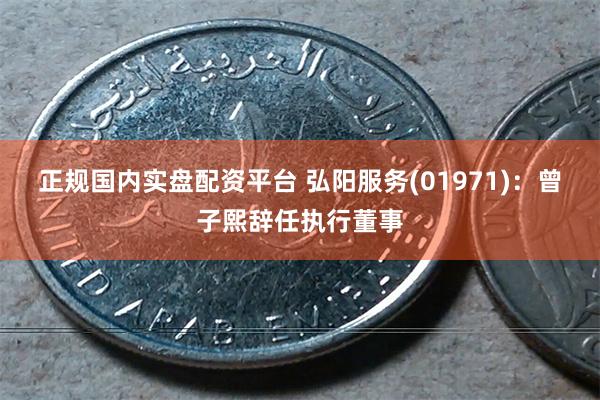 正规国内实盘配资平台 弘阳服务(01971)：曾子熙辞任执行董事