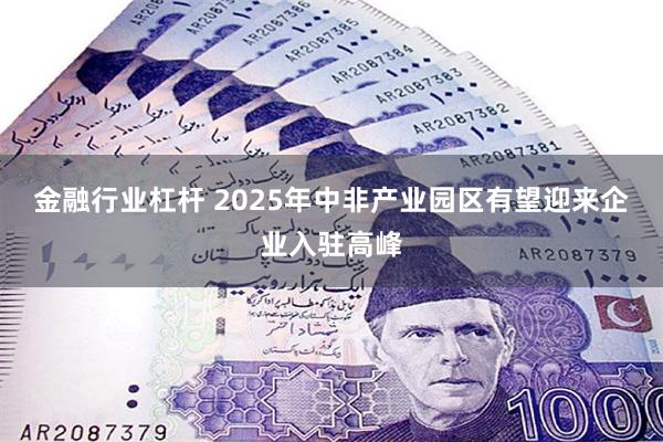 金融行业杠杆 2025年中非产业园区有望迎来企业入驻高峰