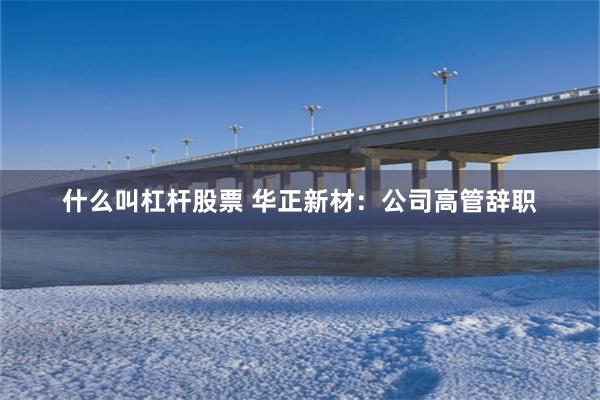 什么叫杠杆股票 华正新材：公司高管辞职