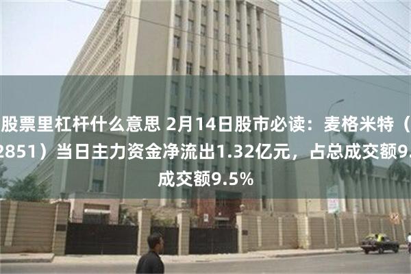 股票里杠杆什么意思 2月14日股市必读：麦格米特（002851）当日主力资金净流出1.32亿元，占总成交额9.5%