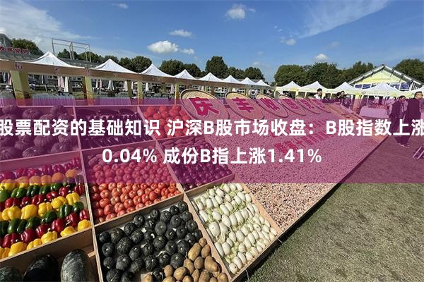 股票配资的基础知识 沪深B股市场收盘：B股指数上涨0.04% 成份B指上涨1.41%