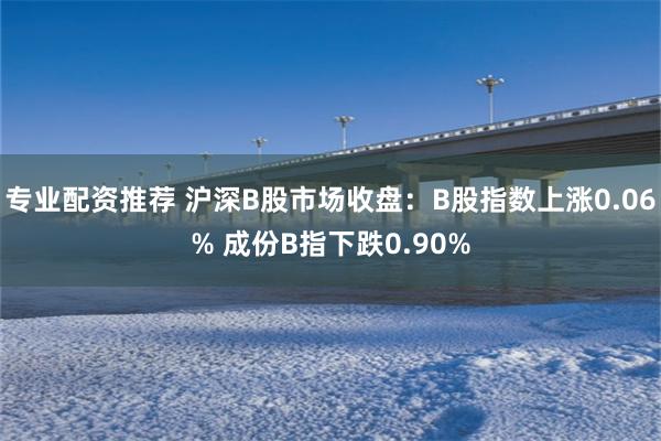 专业配资推荐 沪深B股市场收盘：B股指数上涨0.06% 成份B指下跌0.90%