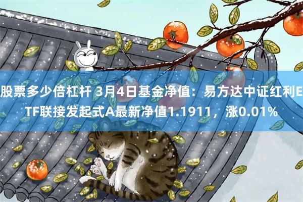 股票多少倍杠杆 3月4日基金净值：易方达中证红利ETF联接发起式A最新净值1.1911，涨0.01%