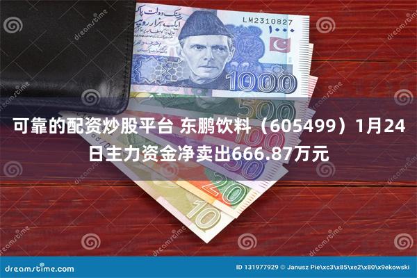 可靠的配资炒股平台 东鹏饮料（605499）1月24日主力资金净卖出666.87万元