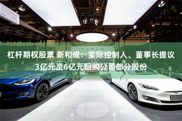杠杆期权股票 新和成：实际控制人、董事长提议3亿元至6亿元回购公司部分股份